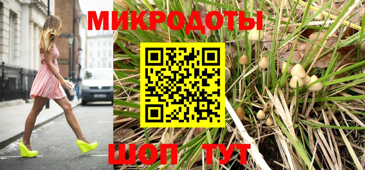 Псилоцибиновые грибы Psilocybine cubensis  Вход с VPN  Комсомольск-на-Амуре 
